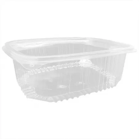 ▷ Tarrina Ovalada Tapa Bisagra 2000ml | EnvasesAlimentarios.es