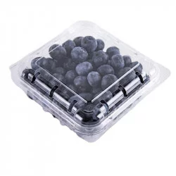 ▷ Envase Bisagra Ventilado Clamipack rPET 500g 141x129x91mm | EnvasesAlimentarios.es