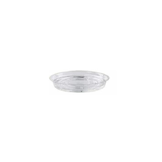 ▷ Base Redonda Actipack 29DX10P rPET Transparente 285mm | EnvasesAlimentarios.es