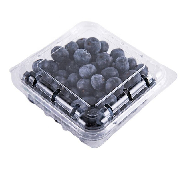 ▷ Envase Bisagra Ventilado Clamipack rPET 125g 142x96x44mm | EnvasesAlimentarios.es