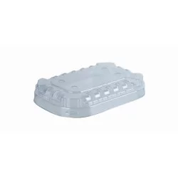 ▷ Tapa rPET Envase Ventilado Maxipack 143x95,5x15mm | EnvasesAlimentarios.es