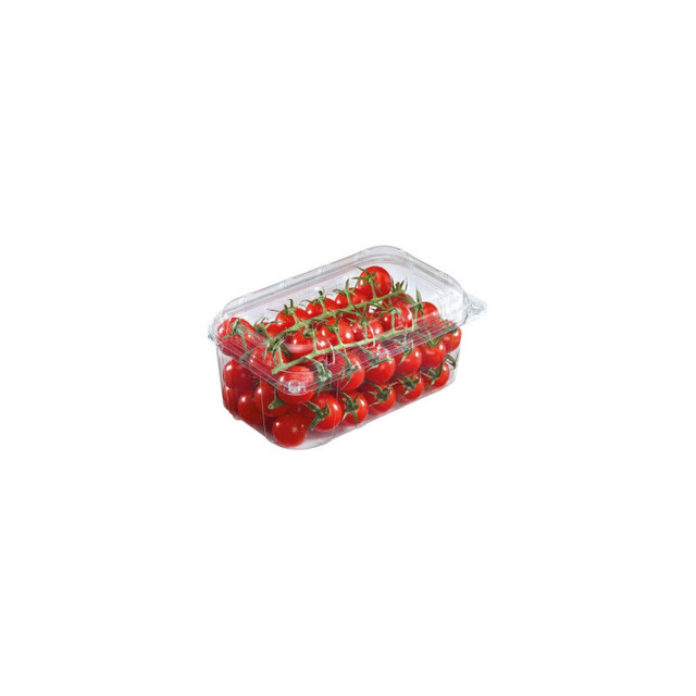 ▷ Envase bisagra ventilado arandanos RPET 400-500gr 188x117x80mm | EnvasesAlimentarios.es