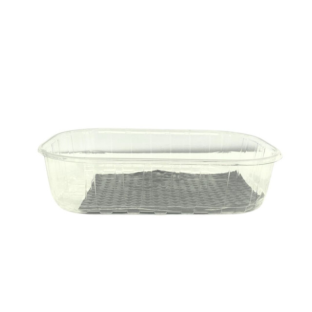 ▷ Envase Ventilado rPET para Moras con ABS Negro 125g 142x96x34mm | EnvasesAlimentarios.es