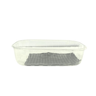 ▷ Envase Ventilado rPET para Moras con ABS Negro 250g 190x116x38mm | EnvasesAlimentarios.es