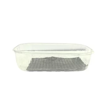 ▷ Envase Ventilado rPET para Moras con ABS Negro 250g 190x116x38mm | EnvasesAlimentarios.es
