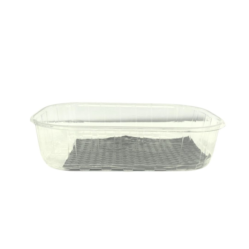 ▷ Envase Ventilado rPET para Moras con ABS Negro 250g 190x116x38mm | EnvasesAlimentarios.es
