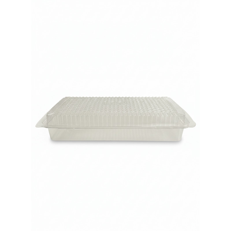 ▷ Envase Traitipack X10,2H40P Rectangular Tapa Bisagra Hermético rPET 200x100x40mm | EnvasesAlimentarios.es
