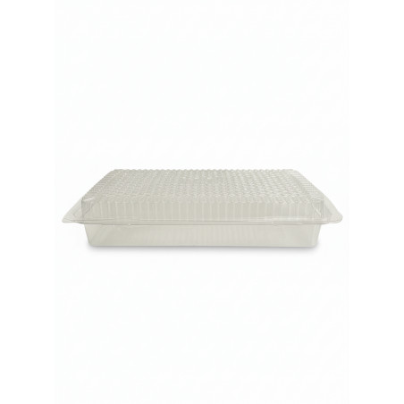 ▷ Envase Traitipack X10,2H40P Rectangular Tapa Bisagra Hermético rPET 200x100x40mm | EnvasesAlimentarios.es