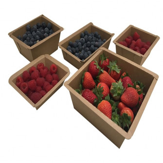 Barquetas de Cartón para Fruta
