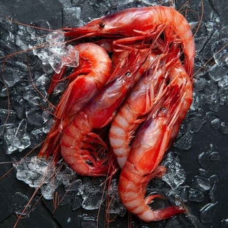 Comprar envases para pescado