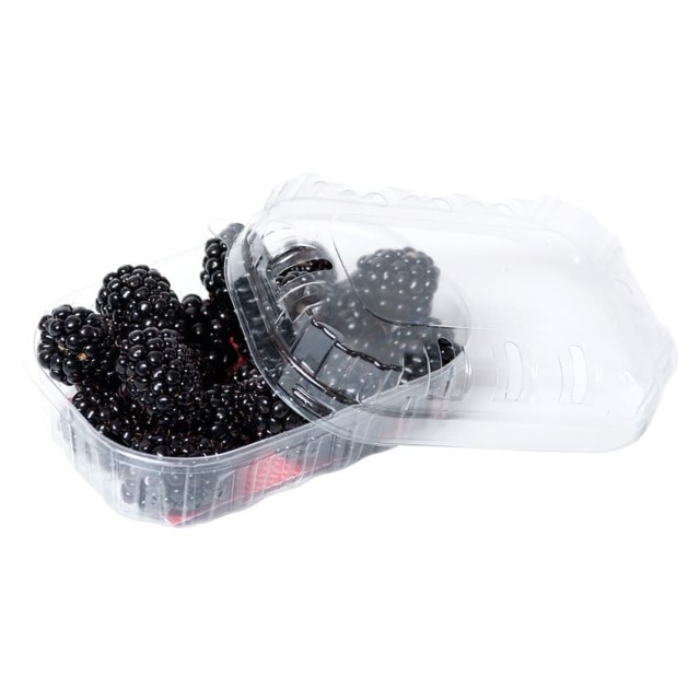 Comprar Envases para moras