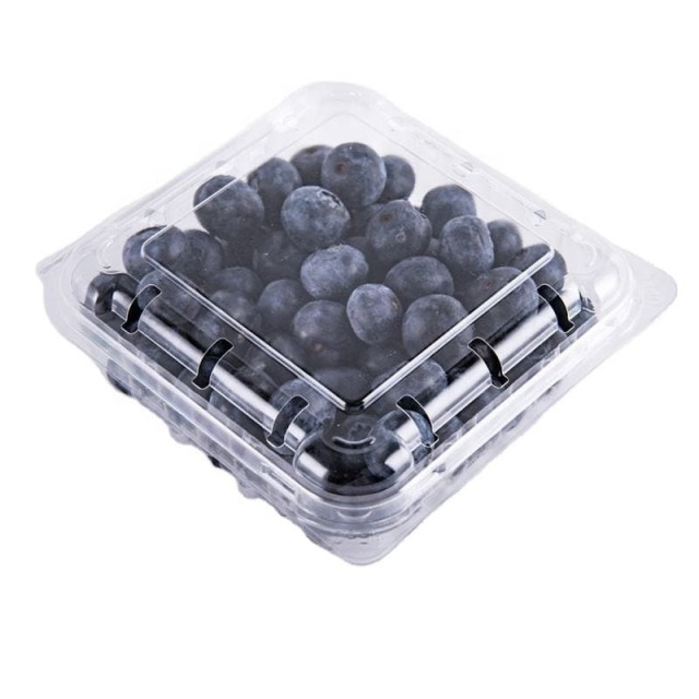 Comprar Envases para arándanos